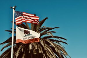 Photo of American flag and California flag on a flagpole with a palm tree in the background.