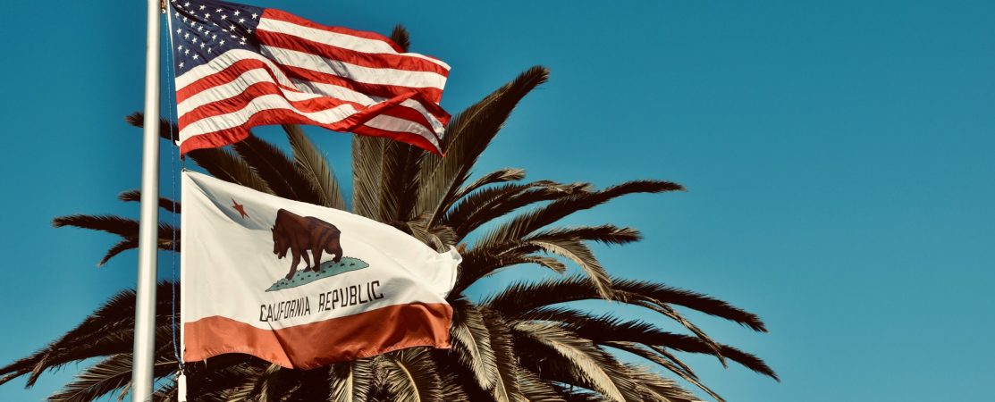 Photo of American flag and California flag on a flagpole with a palm tree in the background.